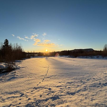 Ljungaverk Takvaning Med Ekgolv Och Badkar Naera Aelven Buitenkant foto