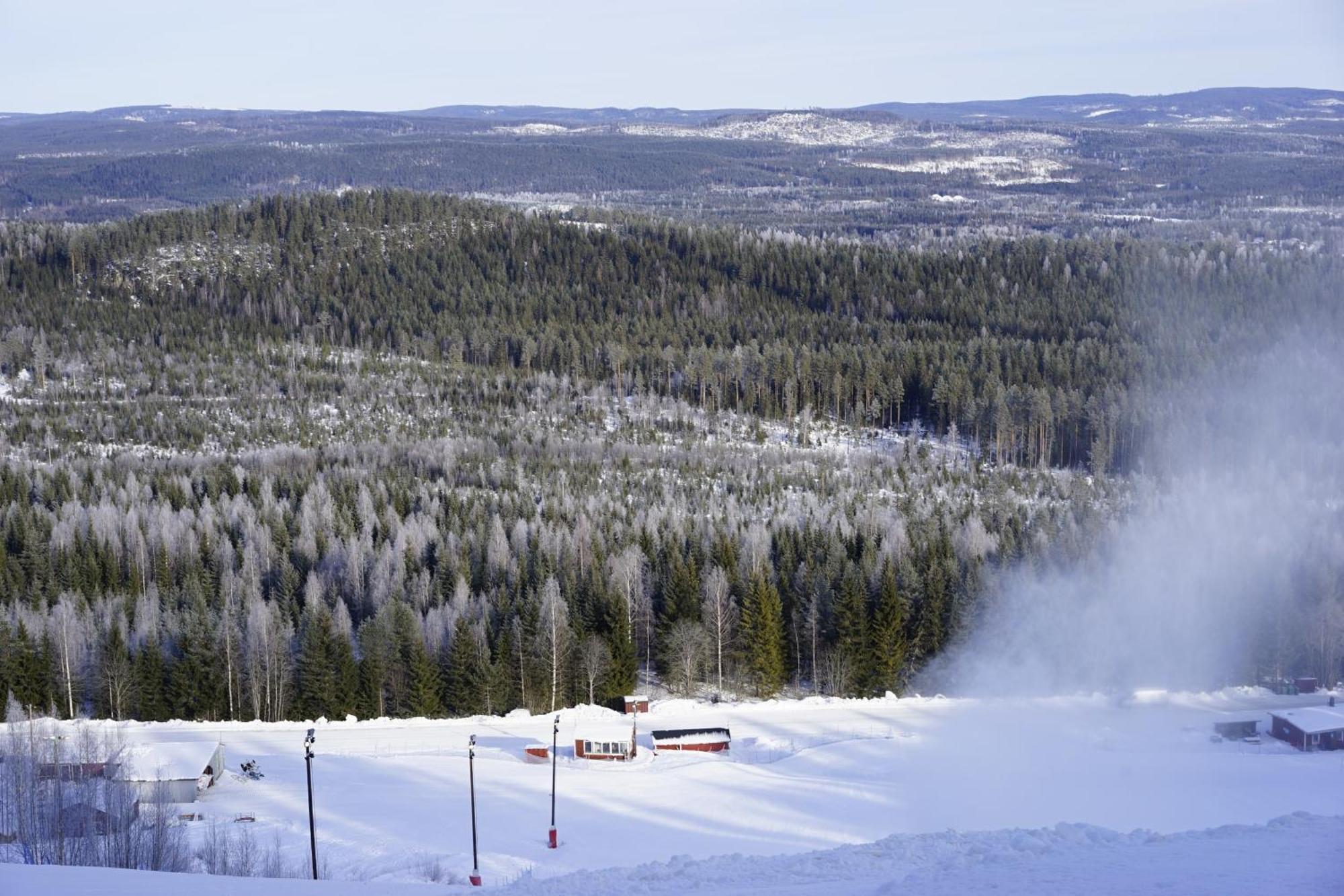 Ljungaverk Takvaning Med Ekgolv Och Badkar Naera Aelven Buitenkant foto