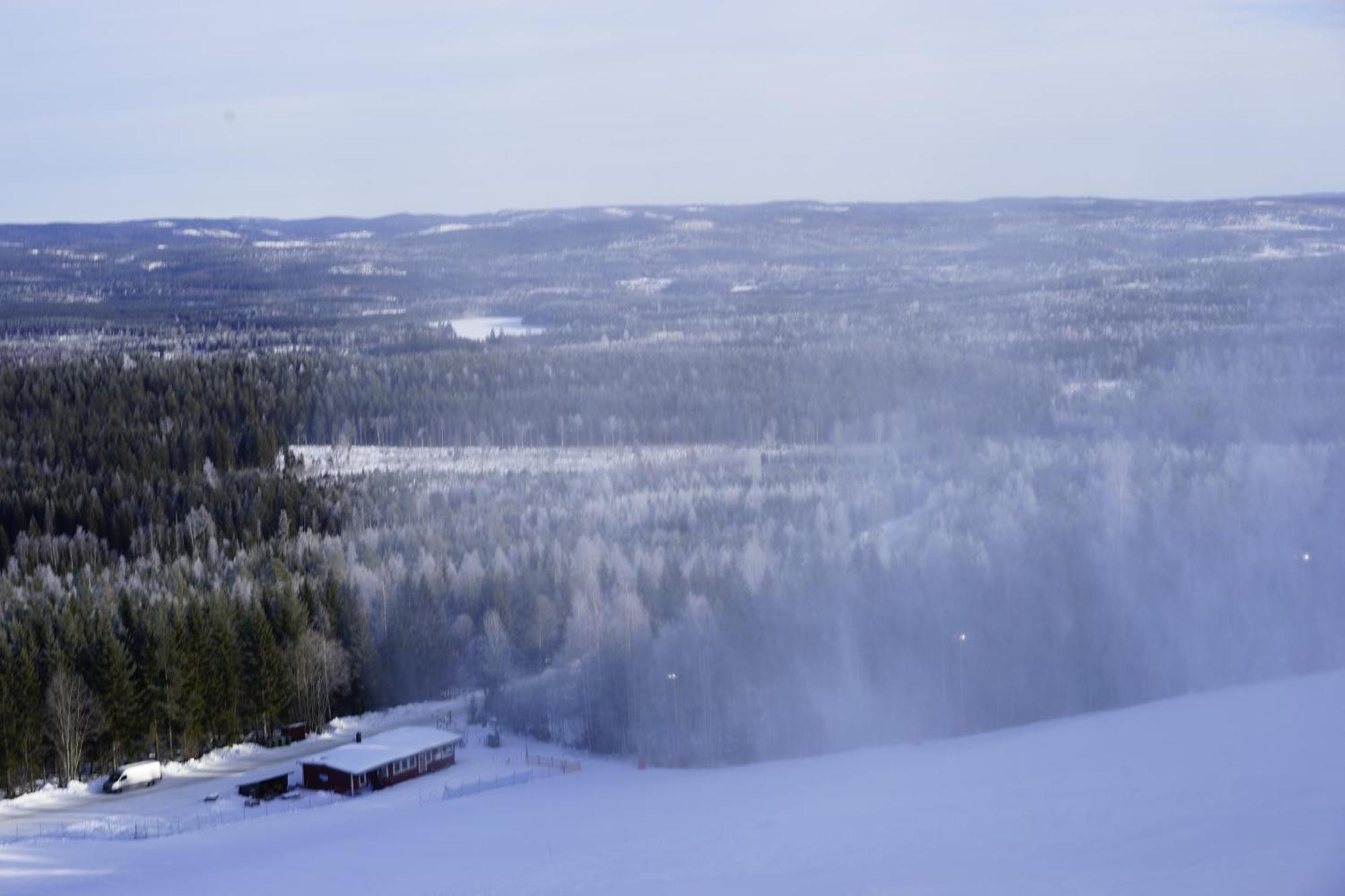 Ljungaverk Takvaning Med Ekgolv Och Badkar Naera Aelven Buitenkant foto